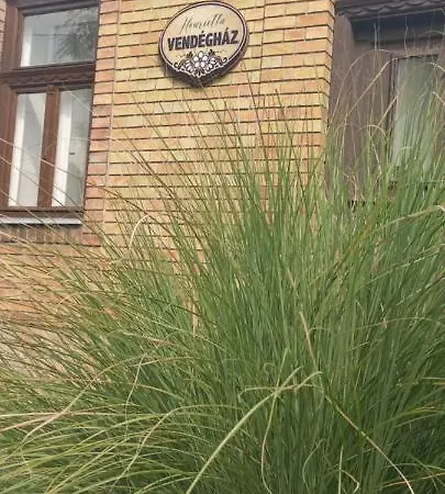 Henrietta Vendeghaz Apartment