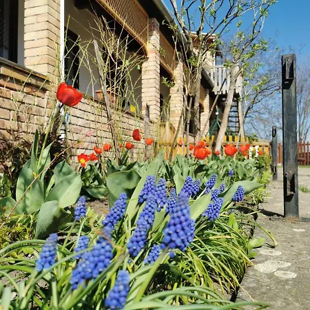 Apartament Henrietta Vendeghaz *