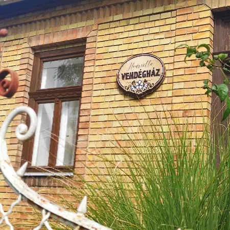Henrietta Vendeghaz Apartment Domoszlo